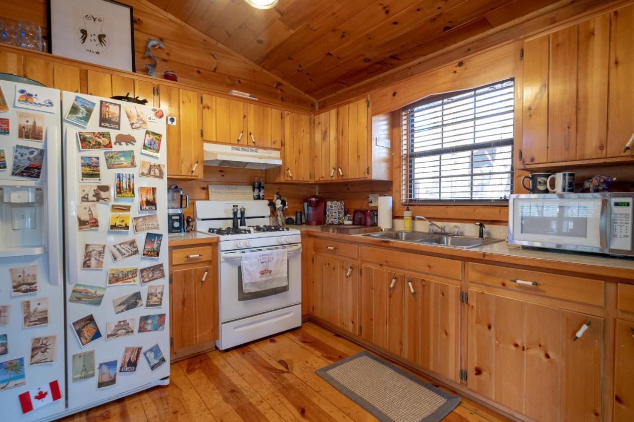 Three Dog Night - Pet-Friendly Cabin With Hot Tub Villa Blue Ridge Esterno foto